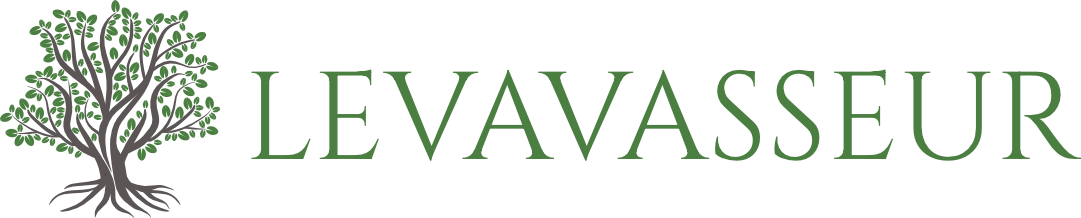 Axel Levavasseur logo